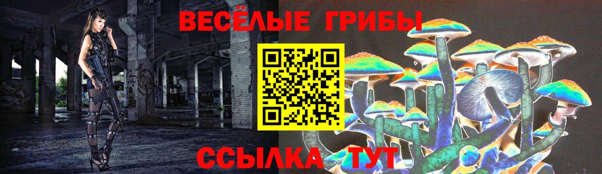 Псилоцибиновые грибы мицелий Камышин
