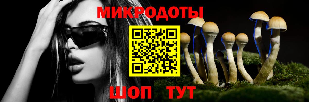 Галлюциногенные грибы Cubensis  Галлюциногенные грибы прущие грибы  Камышин  хочу   Вход с VPN 